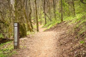 Bentonville Mountain Biking